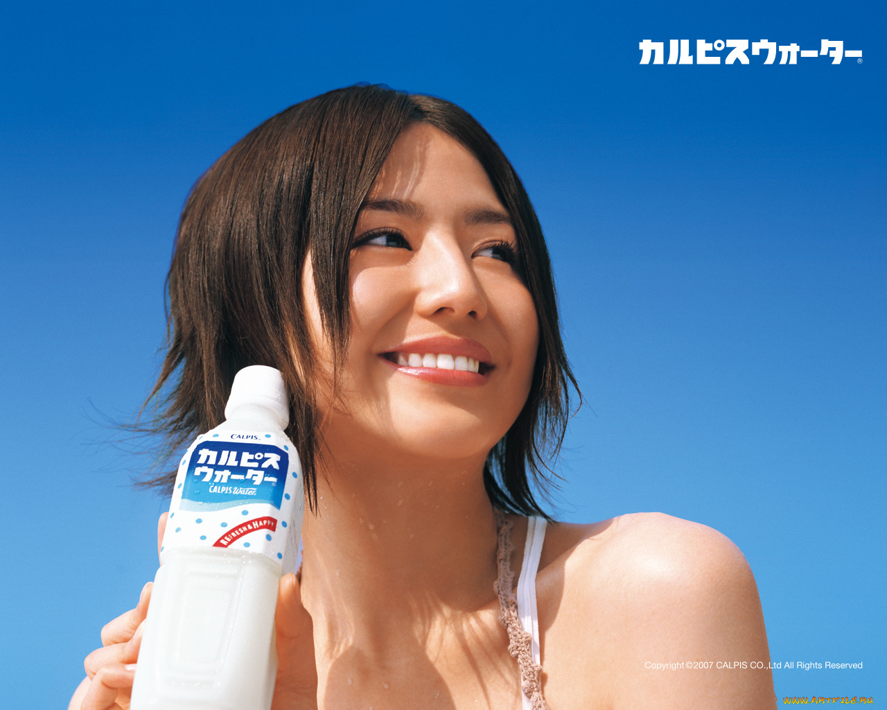 calpis, 